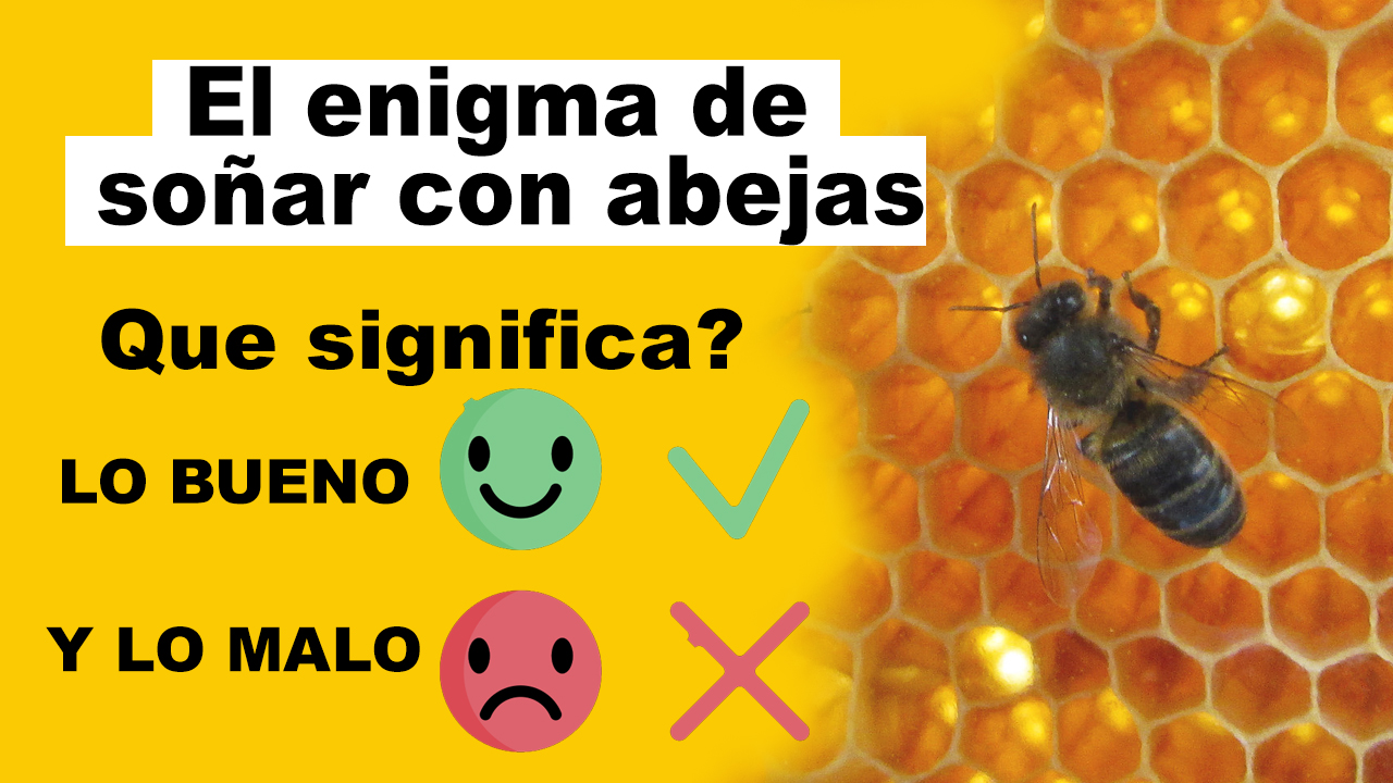 QUE SIGNIFICA SOÑAR CON ABEJAS