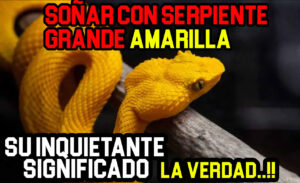 sueño serpiente amarilla grande