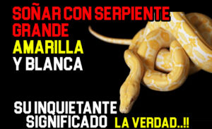 serpiente amarilla y blanca grande en sueños