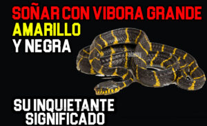 soñar con vibora grande amarilla y negra