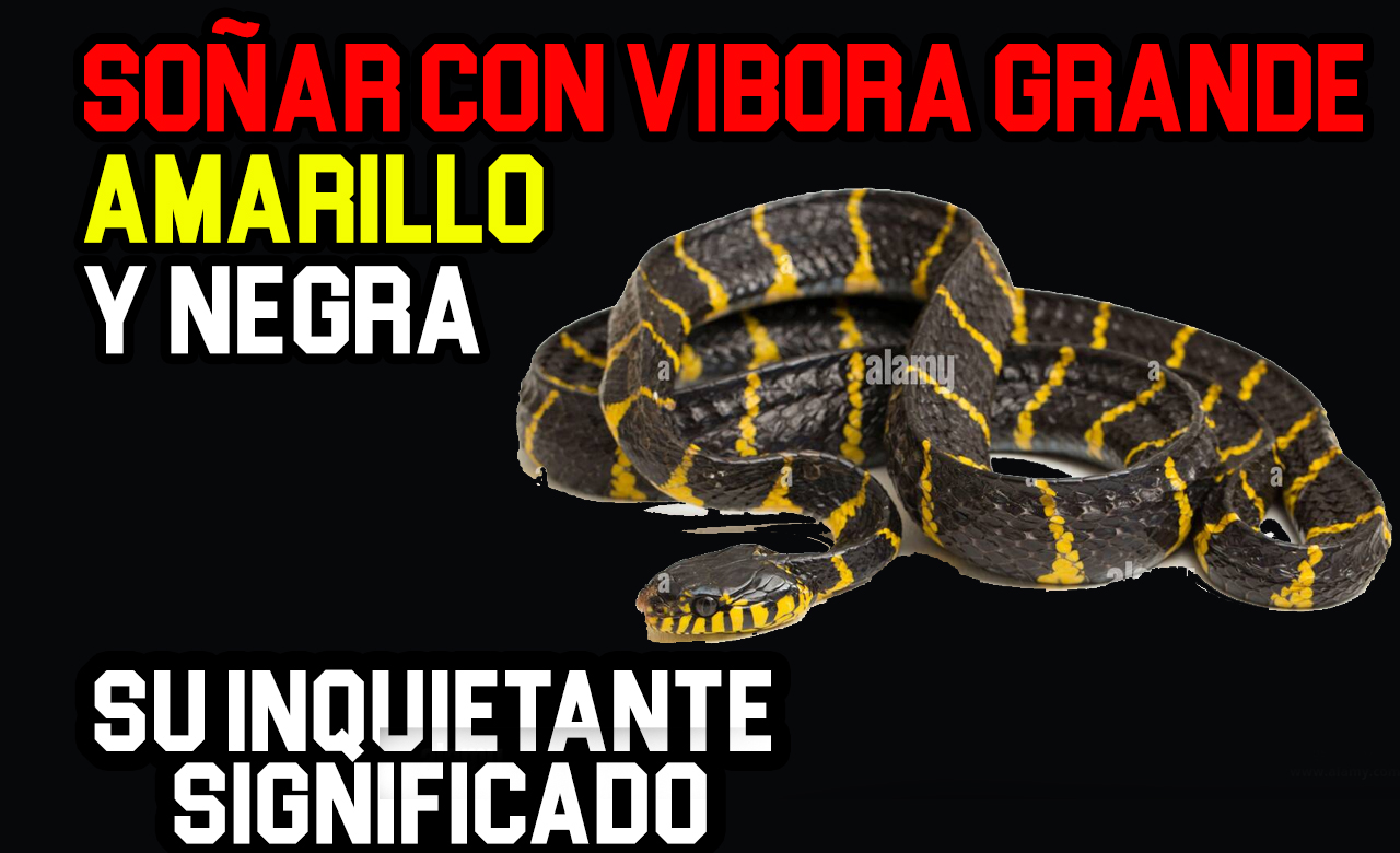 soñar con vibora grande amarilla y negra