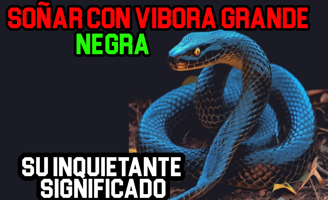 vibora negra grande serpiente