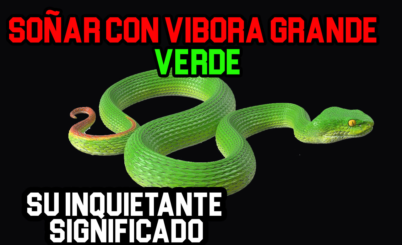 soñar con vibora grande verde